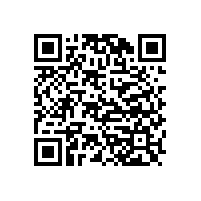 東莞厚街到湛江徐聞物流公司專線鷹航物流13922514227