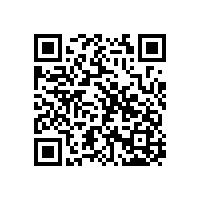 東莞長安到沈陽物流專線鷹航直達運輸13790665977
