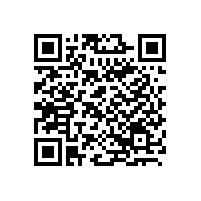 漲見識了，吃涼皮也離不了不銹鋼節(jié)能蒸汽發(fā)生器