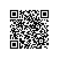 國民級好椅：職場精英的健康辦公解決方案