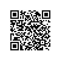 煤科院專家到嵩陽煤機現場評審帶式輸送機安標