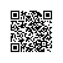 皮帶輸送機廠家嚴把質量關|大力支持315|嵩陽煤機