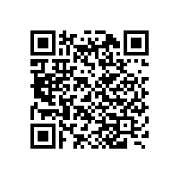 什么是輕型皮帶機 ？