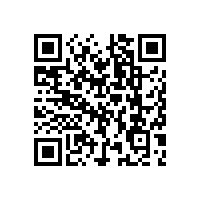 嵩陽煤機，刮板輸送機行業中的