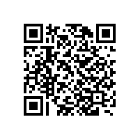 嵩陽煤機皮帶機多臺電機變頻驅動的應用