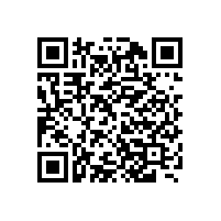 真正懂您的皮帶機生產廠家|嵩陽煤機