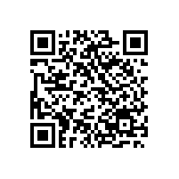 火辣7月銀箭鋁銀漿ZNA-110熱銷阿聯(lián)酋