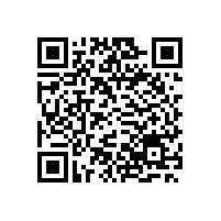 日系仿電鍍鋁銀漿在華優(yōu)勢受到銀箭品牌產(chǎn)品挑戰(zhàn)