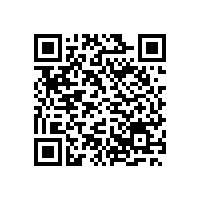銀箭高檔塑膠漆用鋁銀漿獲得新客戶好評