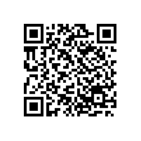 銀箭金屬顏料看國(guó)內(nèi)涂料原材料價(jià)格暴漲背后的深層意義