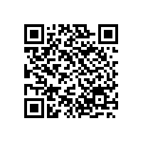 章丘金屬顏料祝賀G20峰會(huì)隆重召開，銀箭鋁銀漿人杭州走起吧？