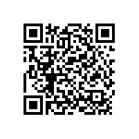 丹鳳縣財政投資評審中心項目評審中介機構(gòu)采購項目采購競爭性談判成交公告（陜西）