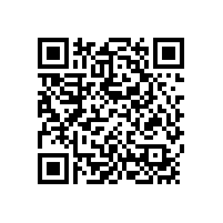 丹鳳縣縣域工業(yè)集中區(qū)中小企業(yè)孵化園2#、3#廠房電梯項(xiàng)目招標(biāo)公告(陜西)