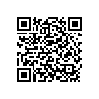 工程造價(jià)咨詢(xún)企業(yè)從事全過(guò)程工程咨詢(xún)的要點(diǎn)