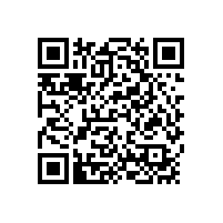 關(guān)于下發(fā)貫徹《工程造價咨詢企業(yè)管理辦法》研討會紀要的函 建標造函[2006]48號