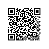 關(guān)于印發(fā)《福建省建筑業(yè)龍頭企業(yè)（施工總承包企業(yè)）實(shí)施方案（試行）》的通知