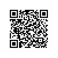 勉縣縣城武侯片區(qū)生活污水管網(wǎng)建設工程地質勘探采購項目競爭性磋商公告(陜西)