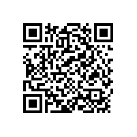 四方洞崩塌治理項目可行性研究報告與初步勘察設(shè)計(二次) 蹉商成交公告（陜西）