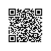 陜南印象棲鳳灣民俗村項目(特色文化民居改造工程)招標公告(陜西)