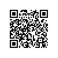 招標(biāo)代理機(jī)構(gòu)：項(xiàng)目經(jīng)理各階段任務(wù)-項(xiàng)目開(kāi)工前階段