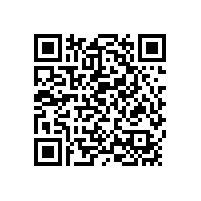 項(xiàng)目管理機(jī)構(gòu)：電力企業(yè)發(fā)展的時(shí)代背景