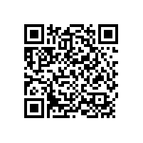 政府工程采購(gòu)招標(biāo)制度設(shè)計(jì)的問(wèn)題與風(fēng)險(xiǎn)