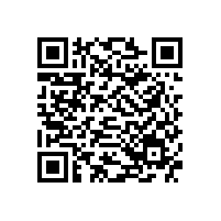 一個(gè)喇叭的組成材料