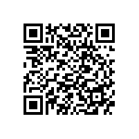4.28日彭丽媛到国博参观“张海书法展”