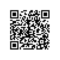 苗再新人物画的创作理念！