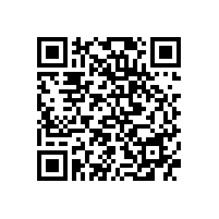 画家王明明花鸟画作品的意境