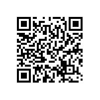 何家英工笔画的绘画特点！