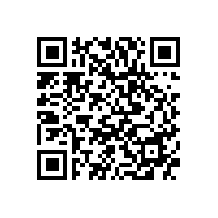 何家英作品《渔女》拍卖价格