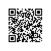 名家陈佩秋的书画艺术