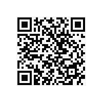 苗再新人物画作品读后感