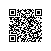 苗再新是个目标清晰的画家