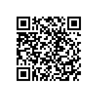 外施造化，中得心源——谢稚柳《竹石芙蓉》赏析