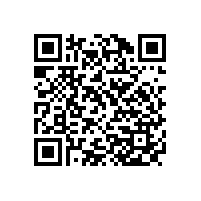 本土智造Parker儀表球閥TLB系列