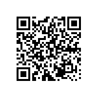 安防類：海康威視