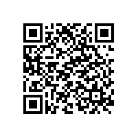 電池線路板廠之共建“一帶一路”十周年！這些成就很亮眼