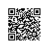 電路板廠家新資訊：迪拜土豪Wi-Fi充電棕櫚樹