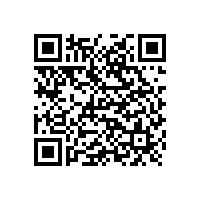 電路板廠之迪拜壕巴士，最快公交長(zhǎng)這樣？