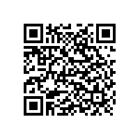 電路板廠資訊：猴腮雷，2016春晚吉祥物長這樣？