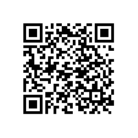 關于認定李秋蓮、覃啟觀、謝偉科同志為我司骨干人員的公示