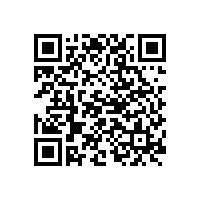 關(guān)于認(rèn)定尹顯平、余條龍、吳露同志為我司骨干人員的公示