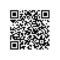 廣州飛歌汽車音響有限公司