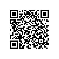 PCB廠今年春運(yùn)購票不難了，12306官方搶票軟件，秒殺黃牛！