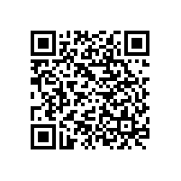 汽車電路板是什么樣的？