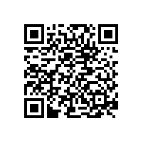 德國斯派克直讀光譜儀MAXx在鑄鐵應(yīng)用成功案例