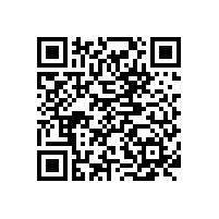 佛山XX模具鋼廠購(gòu)買手持式光譜儀成功案例
