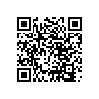 光譜鑄鐵標(biāo)樣 SCRM 670/17 到現(xiàn)貨